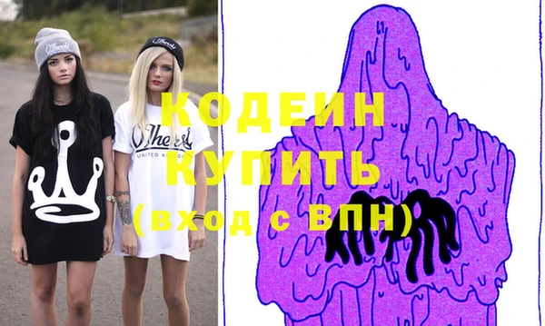 молекула духа Белая Холуница