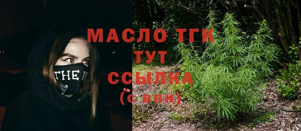 молекула духа Белая Холуница
