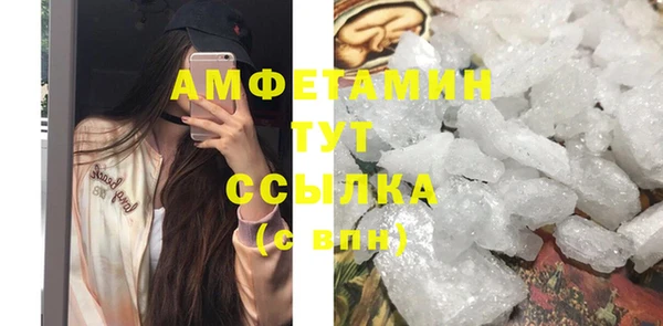 молекула духа Белая Холуница